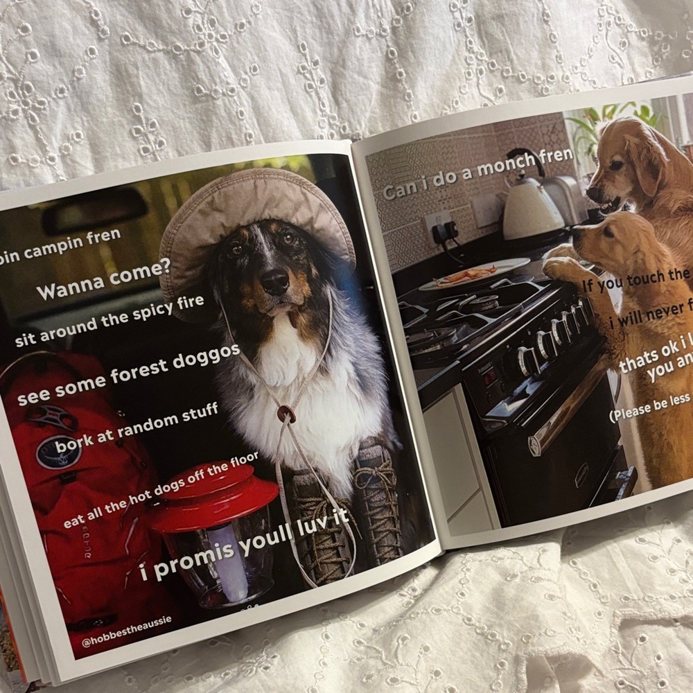 DOGGOS Doing Things Book - Picture 3 of 4
